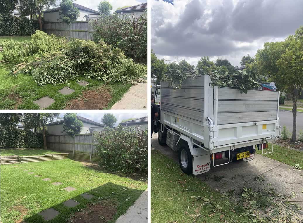 The Complete Guide to Garden Waste Removal and How You Can Save Time, Effort, and Money-cheap-garden-green-waste-removal-sydney-01